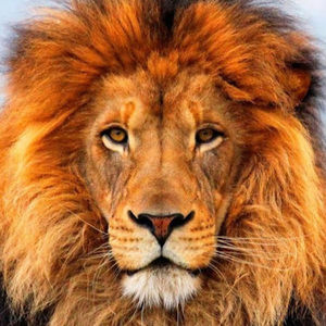 Meet your Posher, Joseph